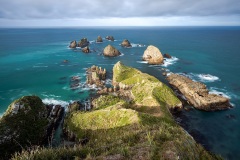 Nugget Point - The Catlins, New Zealand