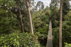 Danum Valley, Sabah, Borneo