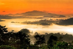 Danum Valley, Sabah, Borneo