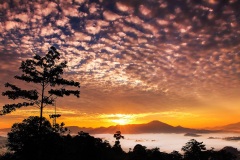 Danum Valley, Sabah, Borneo