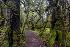 Fiordland National Park, New Zealand