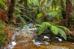 Lake Matheson - South Westland, New Zealand