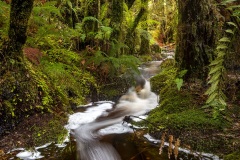 Lake Matheson - South Westland, New Zealand