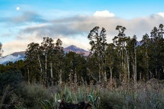 Haast - South Westland, New Zealand