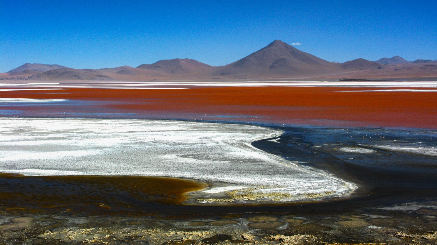 Laguna Colorada - Salar de Uyuni, Bolivia