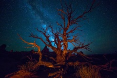 Arches National Park - Utah, USA