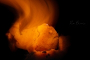2G7A1629bsigned2