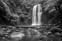 Hopetoun Falls - Beech Forest, Otway Ranges - Victoria, Australia