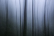 Zhangjiajie National Forest Park - Hunan, China