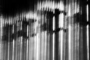 MG_3231-copyBW
