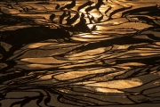 Yuanyang rice terraces - Yunnan, China