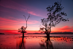 Cape Panwa - Phuket, Thailand