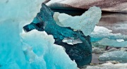 58A9558crop2