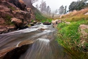 MG_3698-copy2