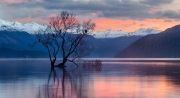 Lake Wanaka, New Zealand