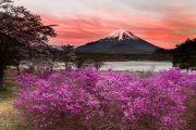ake Shōji - Fuji Five Lakes, Japan