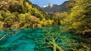 Five Flower Lake - Jiuzhaigou National Park, China