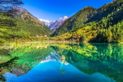 Mirror Lake - Jiuzhaigou National Park, Sichuan, China