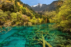 Five Flower Lake - Jiuzhaigou National Park, China