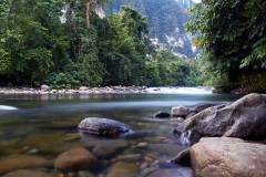Gunung Mulu National Park - Sarawak, Borneo