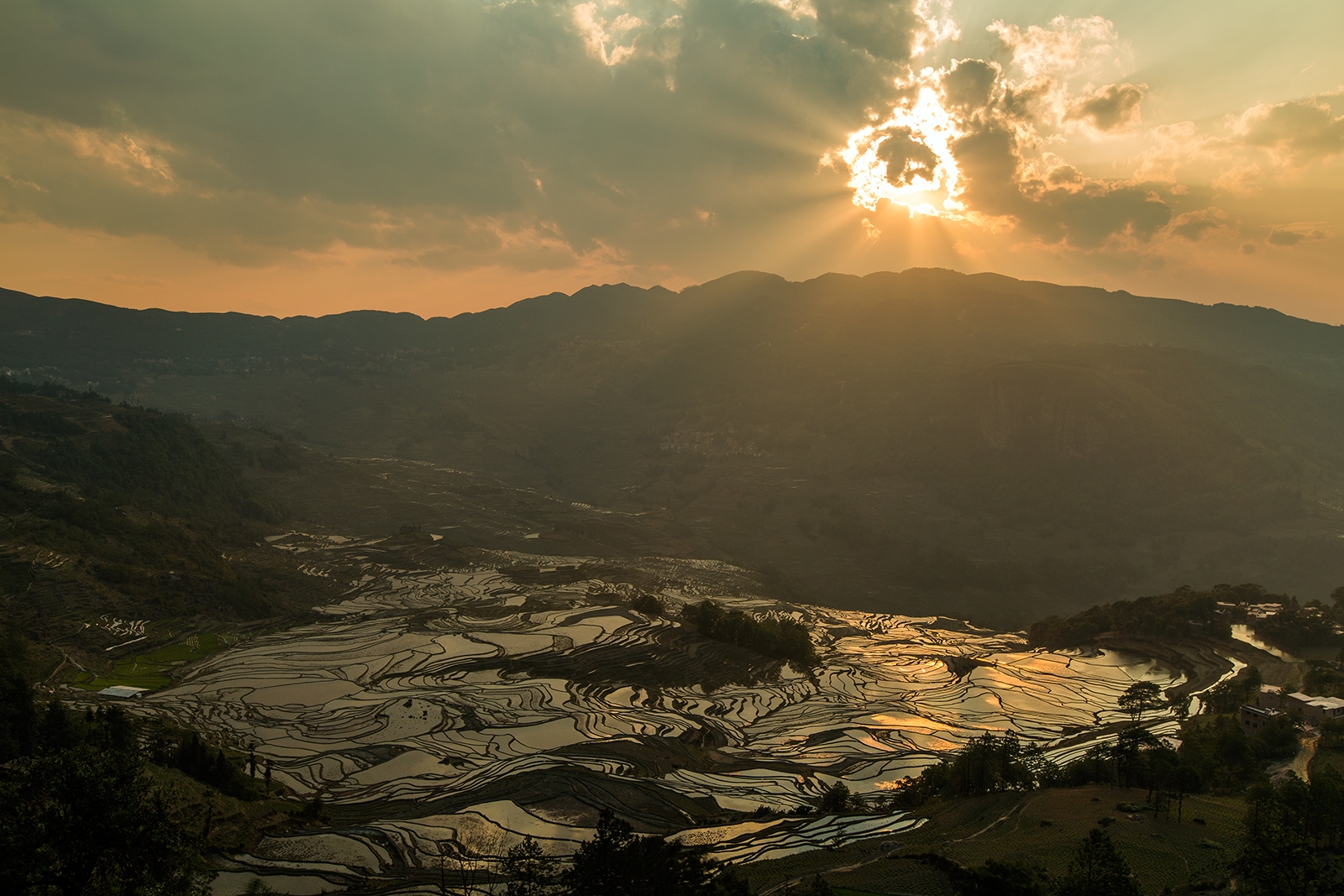 Yuanyang rice terraces - Yunnan, China