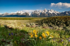 Grand Teton National Park - Wyoming, USA