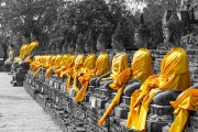 IMG_2276JUNE-BWYELLOW-SIZE-63x42cmsize1600
