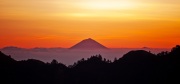 MG_3807-2crop2020