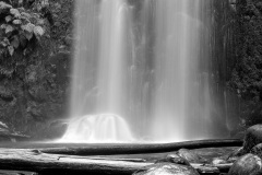 Hopetoun Falls - Beech Forest, Otway Ranges - Victoria, Australia